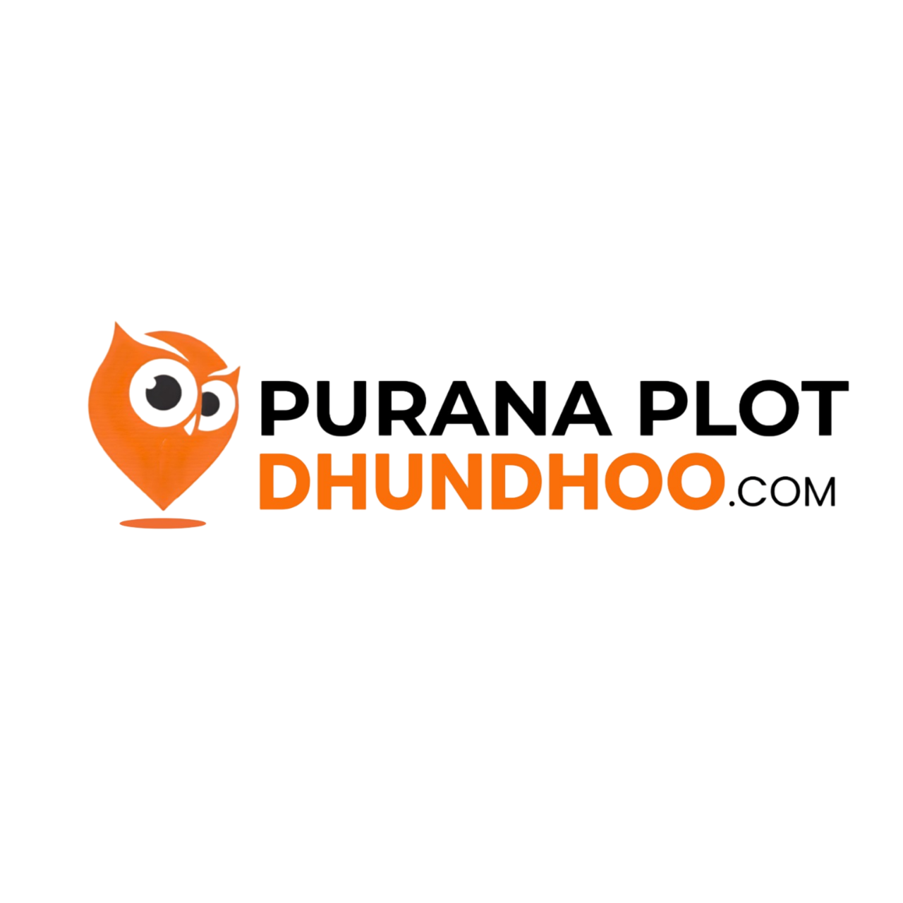 Purana Plot Dhundhoo Logo